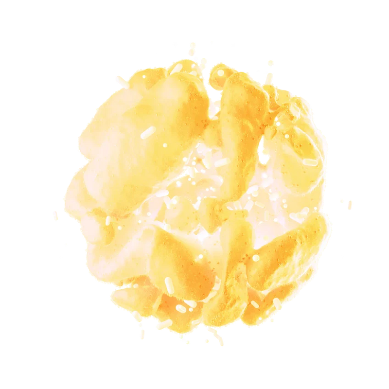 Bacillus Coagulans — البروبيوتك اللي يعيش